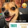 Adictos a la chamba